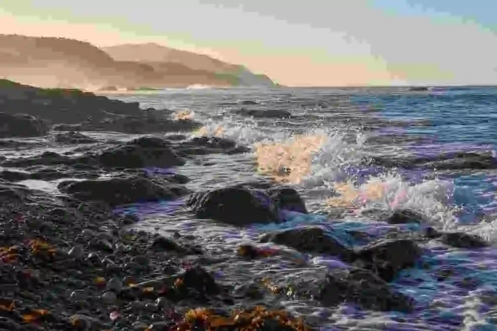 A sample photograph, before and after compressing to 20 KB
