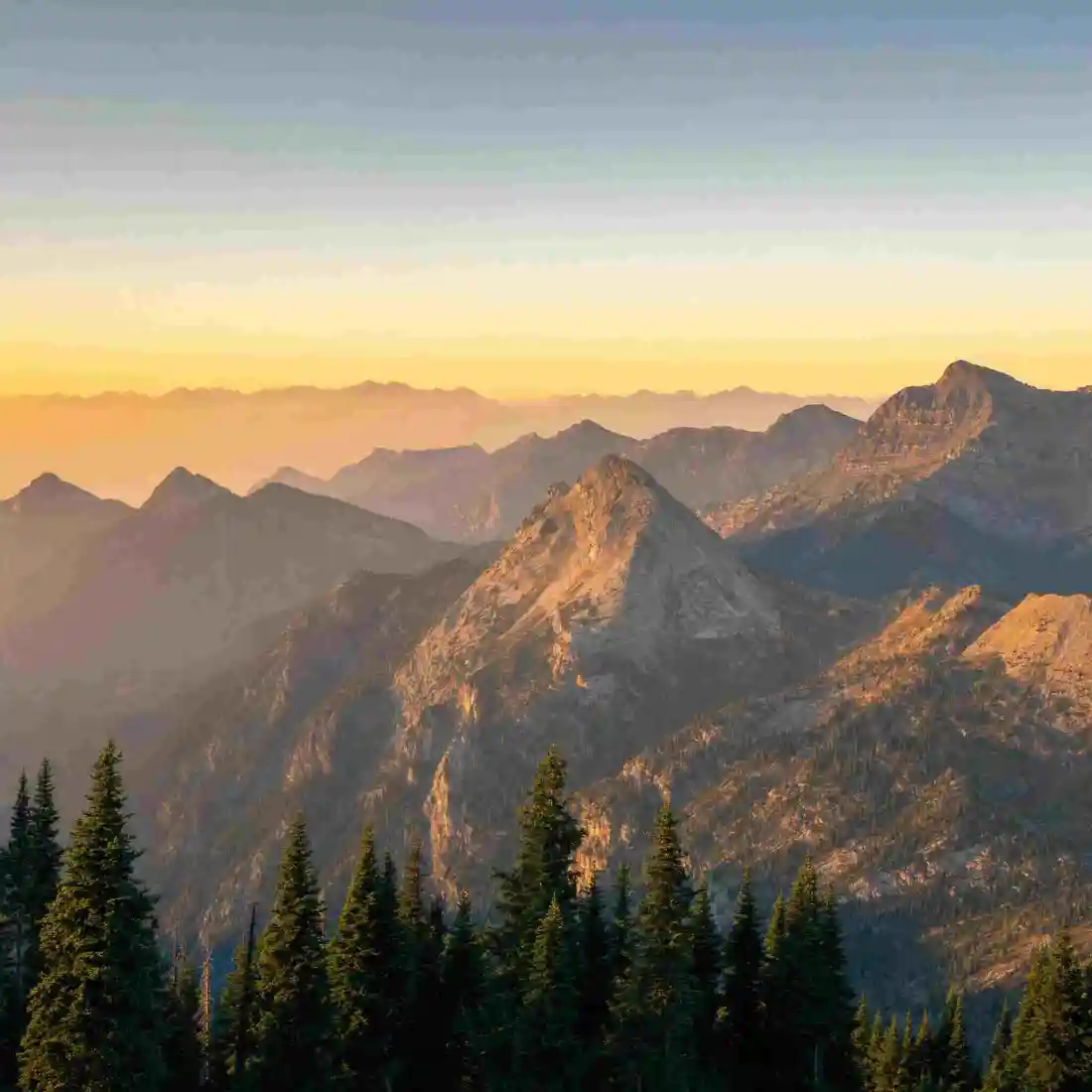 100 KBに圧縮する前後のサンプル写真